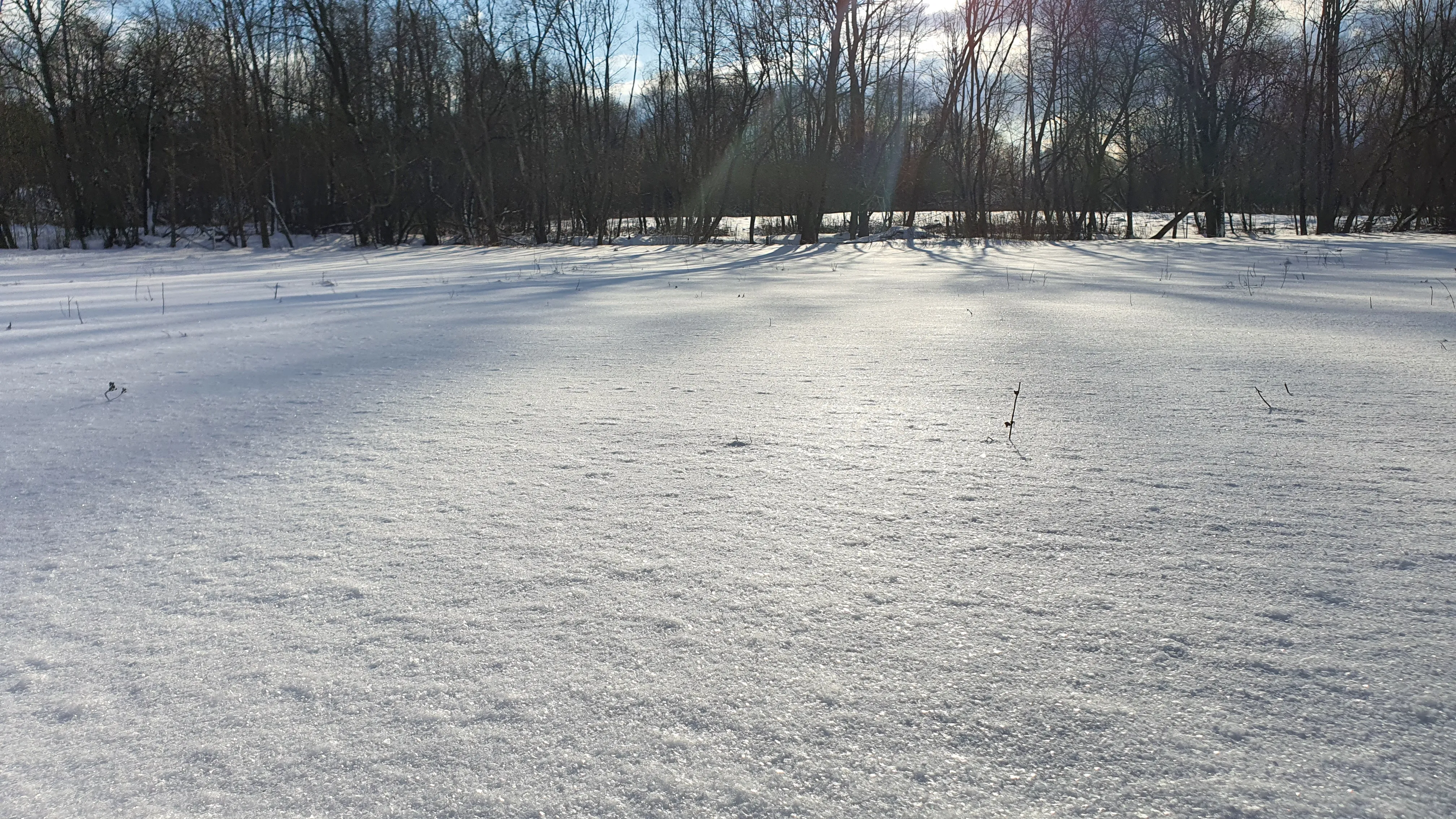 Candidate for Winter 1.